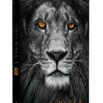 Biblia KJV Holy Bible/ Ingles/ León De Juda Negro TD [Biblia]