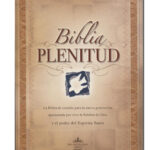 Biblia plenitud rustica manual