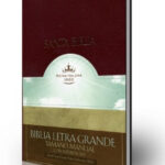 Biblia letra grande tamaño manual con referencias