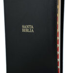 Biblia RVR1960 Tamaño Manual Letra Grande Negro con índice