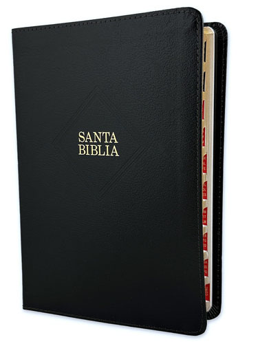 Biblia RVR1960 Tamaño Manual Letra Grande Negro con índice