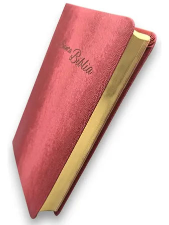 Biblia Reina Valera Actualizada 2015