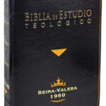 Biblia De Estudio Teológico  VR086CLGEETI Negra