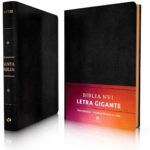 Biblia NVI/Letra Grande [Biblia] 13 Puntos/Negro
