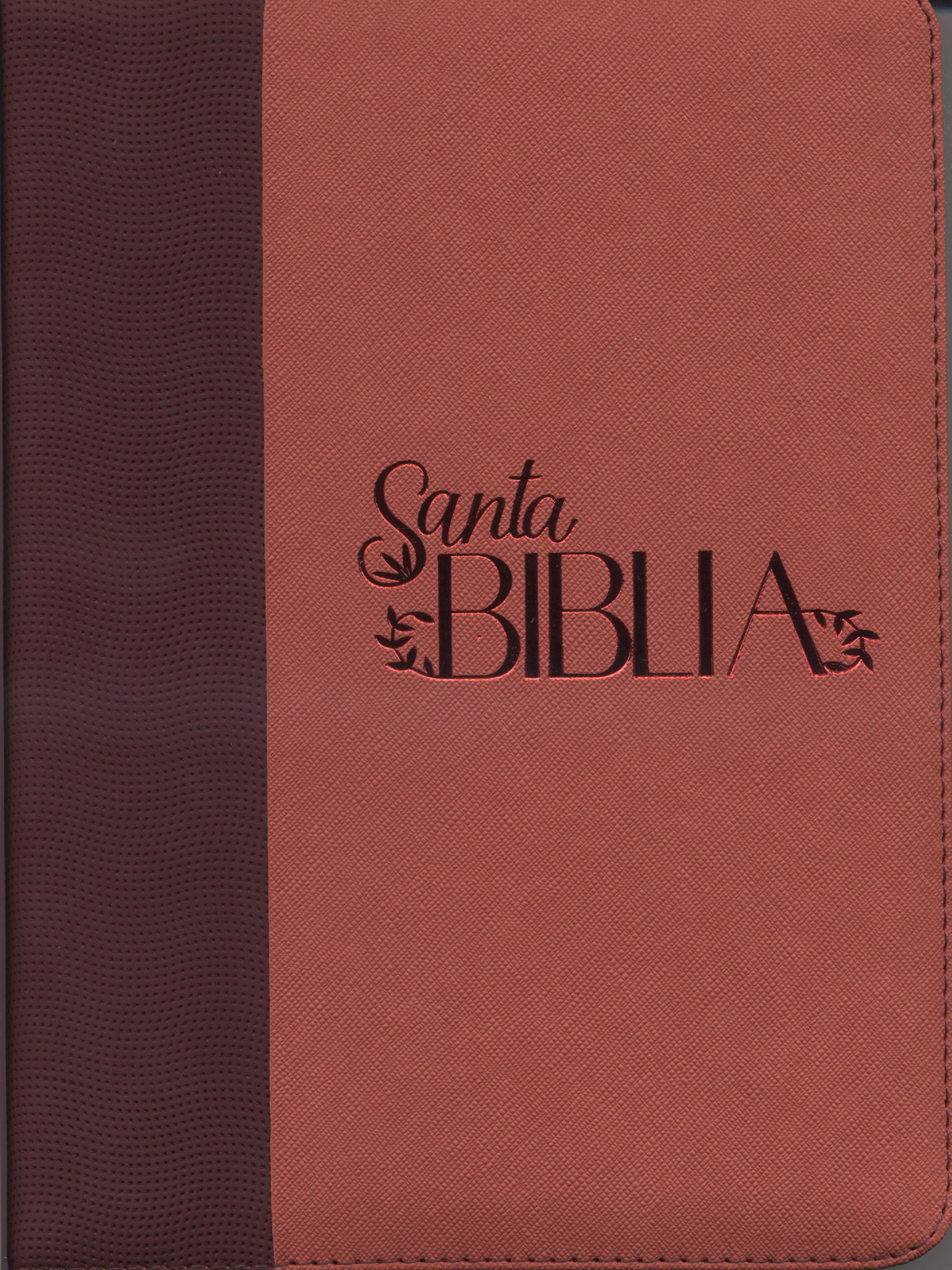 Biblia/RVR086cZLGi/Bitono/Naranjo-Vino Cierre /Canto Blanco Biblia/RVR086cZLGi/Bitono/Naranjo-Vino/Canto Blanco - Imagen 1